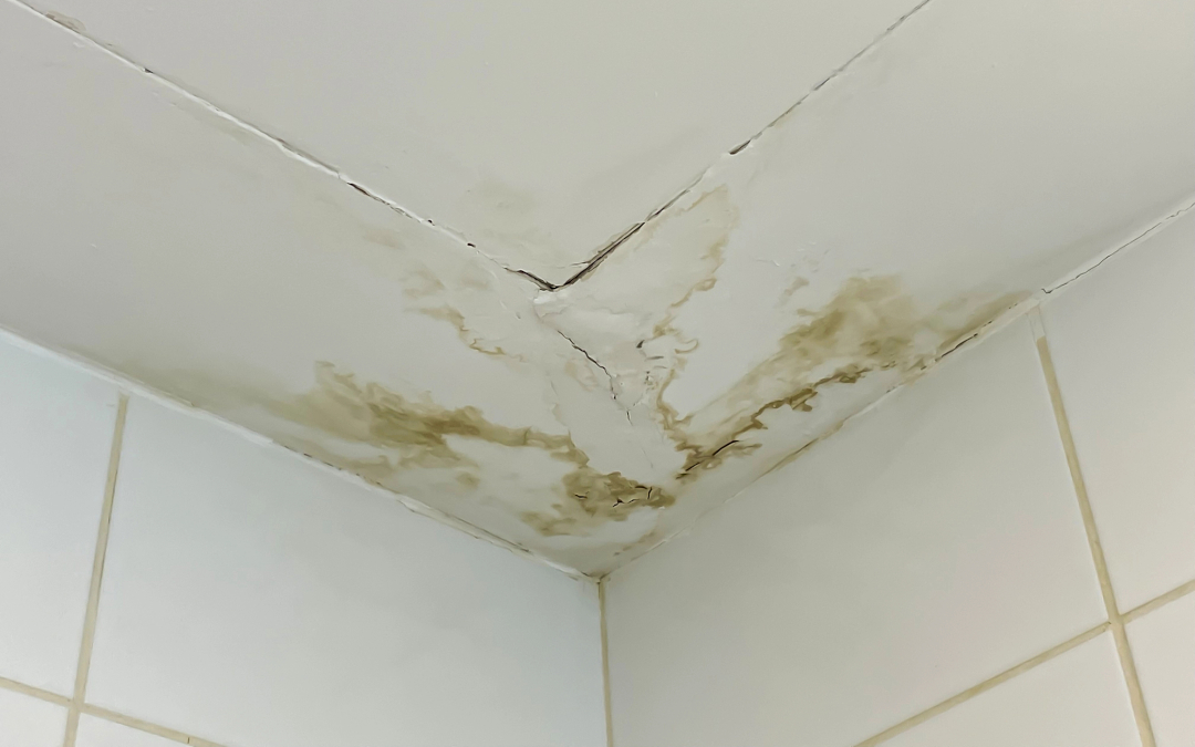 Who Pays For Damage To Units - photo of water damaged ceiling from water leak